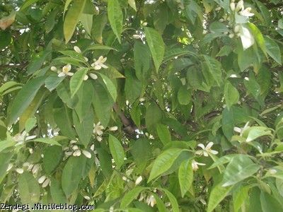یکم فروردین سال نود و دو