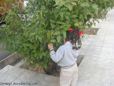دوم فروردین ماه سال نود و دو