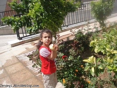 هشتم فروردین ماه سال نود و دو