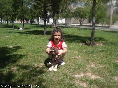 هشتم فروردین ماه سال نود و دو