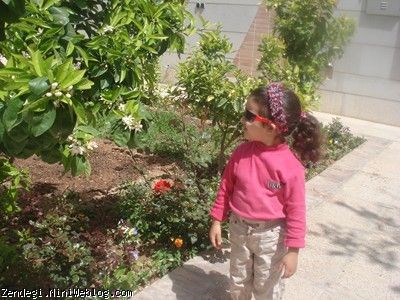 نهم فروردین ماه سال نود و دو