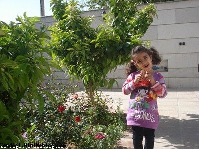 بیستم فروردین ماه سال نود و دو